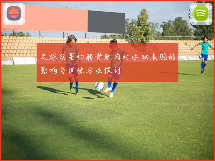 足球明星的胯骨肌肉对运动表现的影响与训练方法探讨