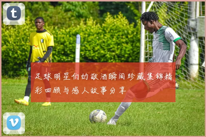 足球明星们的敬酒瞬间珍藏集锦精彩回顾与感人故事分享