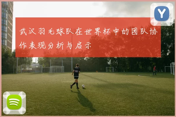 武汉羽毛球队在世界杯中的团队协作表现分析与启示