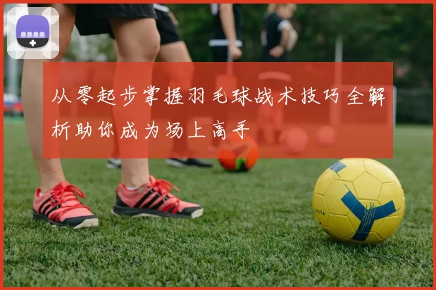 从零起步掌握羽毛球战术技巧全解析助你成为场上高手