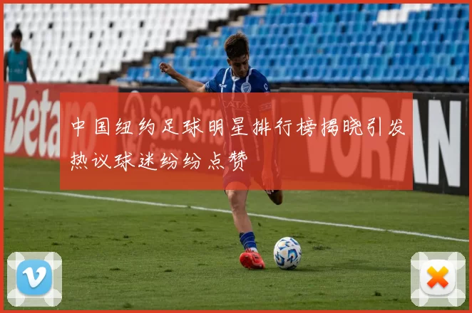 中国纽约足球明星排行榜揭晓引发热议球迷纷纷点赞