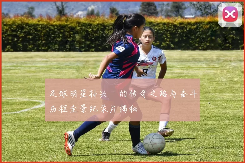 足球明星孙兴慜的传奇之路与奋斗历程全景纪录片揭秘