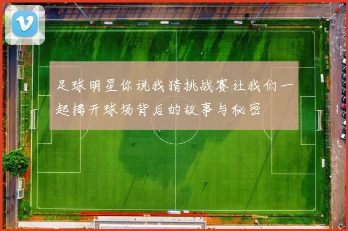 足球明星你说我猜挑战赛让我们一起揭开球场背后的故事与秘密